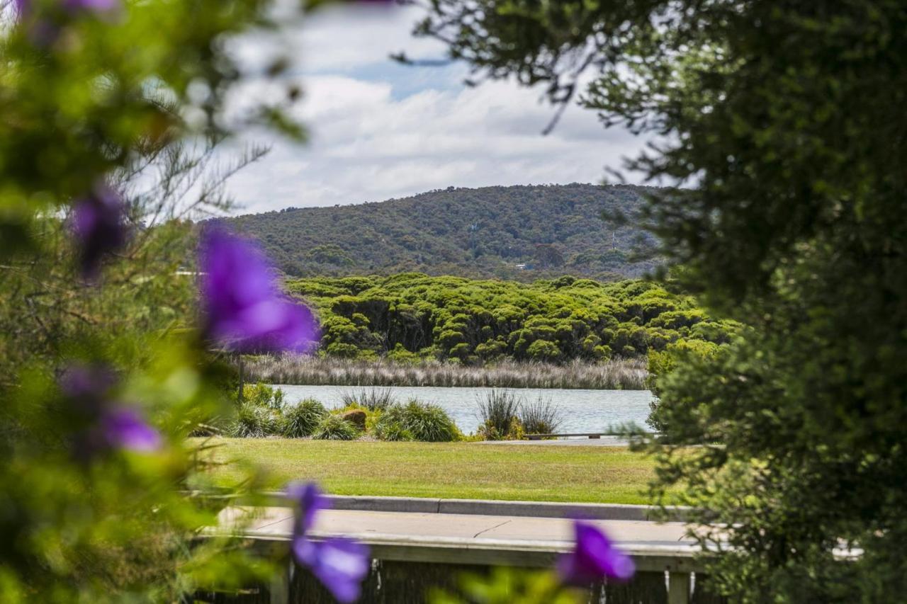 Rivernook Anglesea Exterior foto